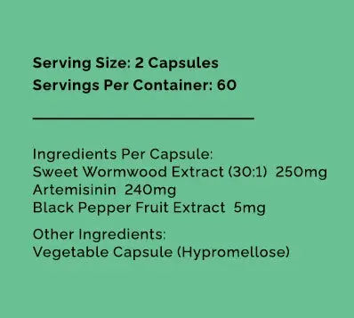 ArtemGREEN 青蒿素(疫後保健之選) | 120粒裝 2個月份量 EVIS